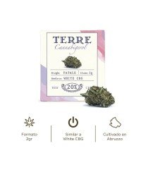 Fleur aromatique de CBG : FATALE / WHITE CBG